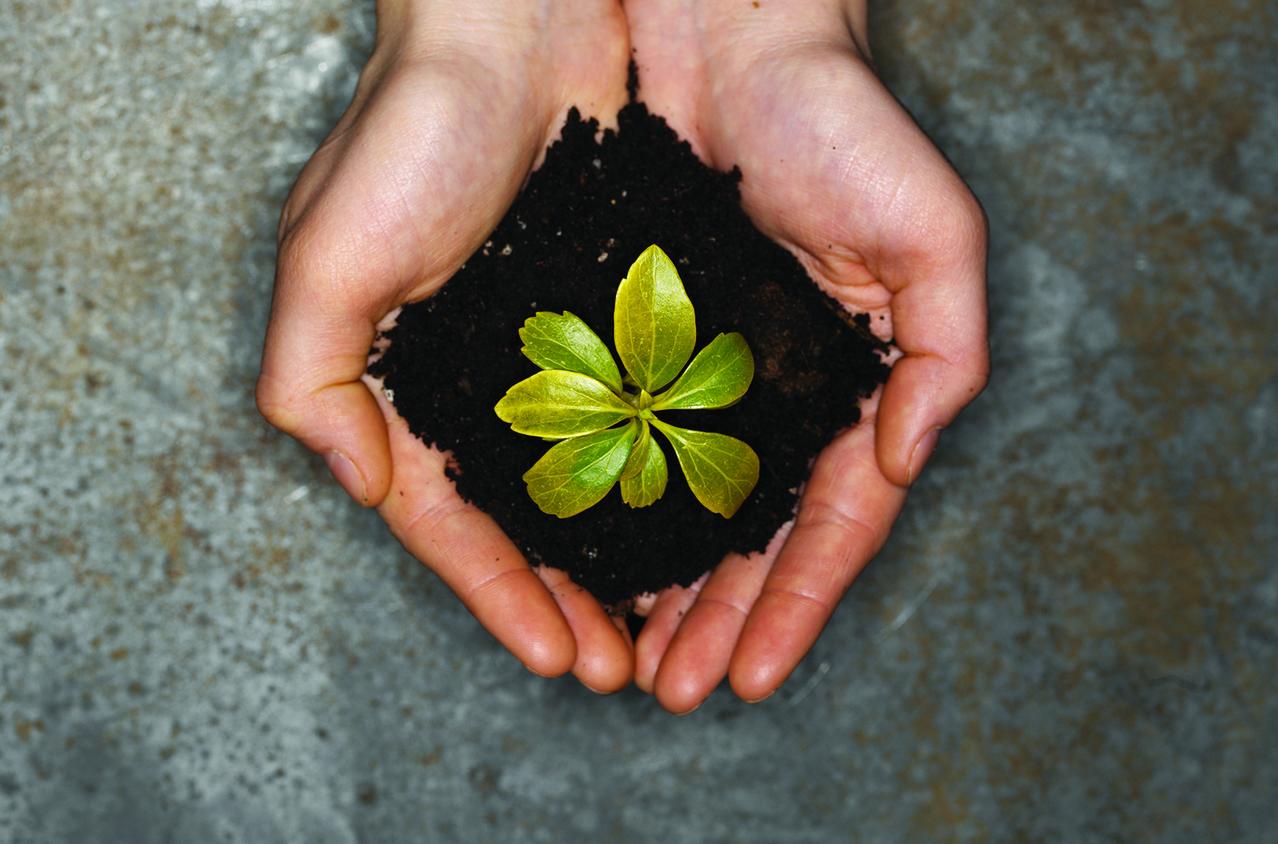 Plasmar en acciones nuestra estrategia de sostenibilidad