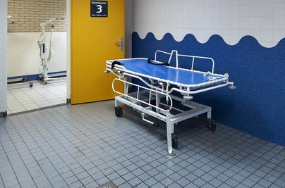 CELLO - DE BINCKHORST, ROSMALEN