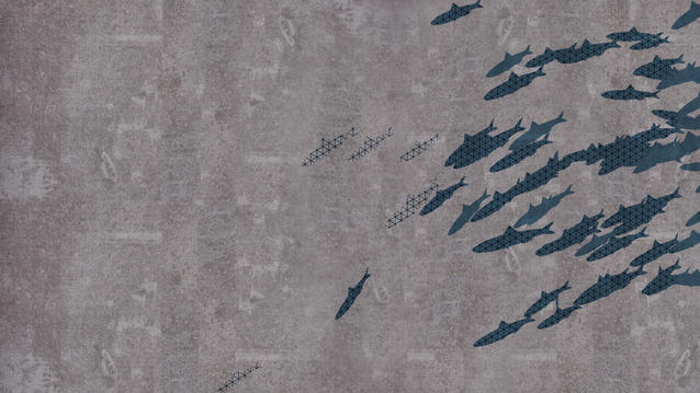 iD Supernature & iD Tattoo Inspiration Béton